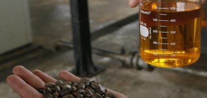 IBP considera positivas novas diretrizes do governo sobre biocombustíveis