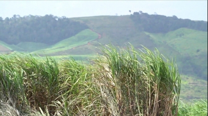 PE: Produtores de cana arrendam usinas e retomam a indústria do estado