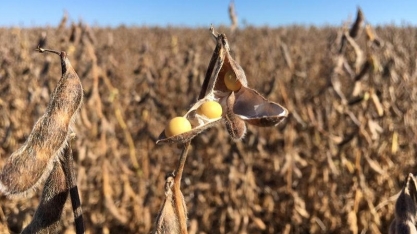 Sojicultores de Goiás testam tecnologia 5G com equipamentos da Huawei