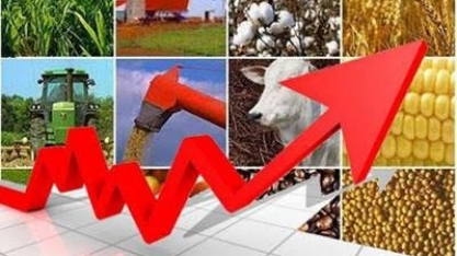 PIB do agro cresce 8,48%