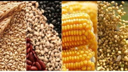 Safra brasileira deve saltar 4,4% em 2020, e expandir 1,9% em 2021    