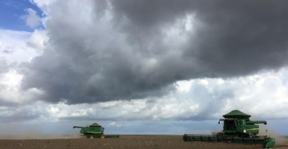 Valor da produção agropecuária deve superar R$ 1 tri em 2021 pela 1ª vez