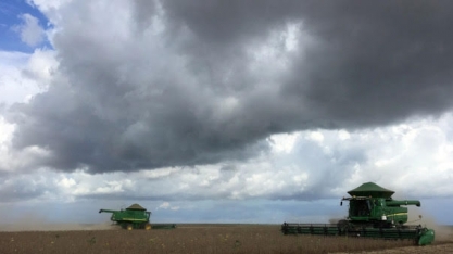 Valor da produção agropecuária deve superar R$ 1 tri em 2021 pela 1ª vez