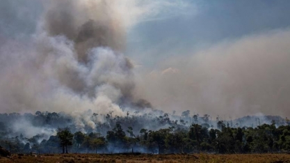 Uma solução verde para salvar o acordo entre Mercosul e União Europeia