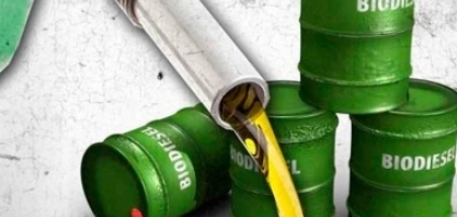 Governo quer acabar com leilões públicos de biodiesel