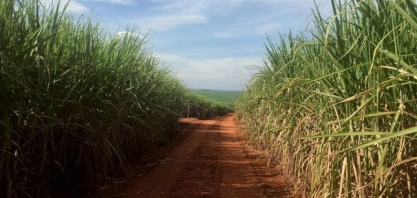 Produtor pode receber pelos CBios com mudanças técnicas sem esperar lei