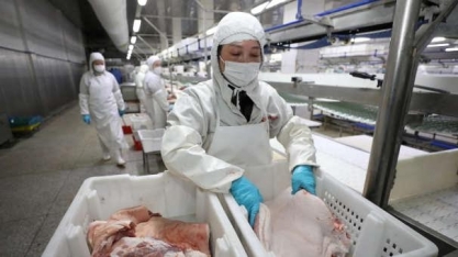 Exportação de carne suína cresce 31,7% em novembro, para 87,5 mil t