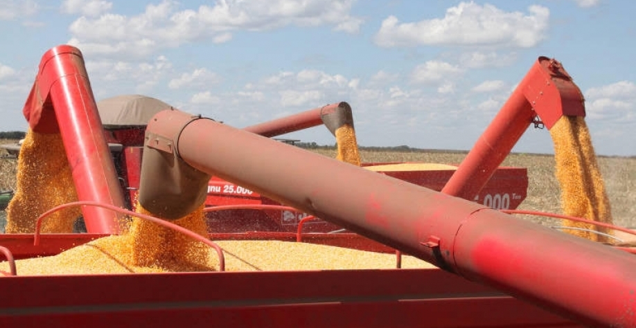 Brasil diversifica pauta exportadora e Venezuela eleva compra de alimentos