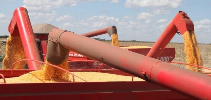 Brasil diversifica pauta exportadora e Venezuela eleva compra de alimentos