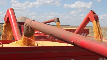 Brasil diversifica pauta exportadora e Venezuela eleva compra de alimentos