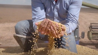 Rali da soja incentiva consolidação de setor agrícola no Brasil