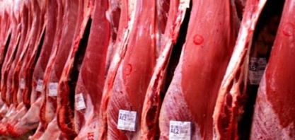Exportação de carne bovina do Brasil tem maior volume do ano em novembro