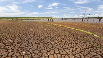 Seca no Paraná atrasa plantio e pode comprometer próximas safras de grãos