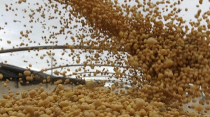 Soja toca máxima de 6 anos e meio em Chicago