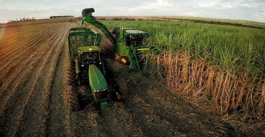 Cana: Centro-Sul processa 453 mil t na 2ª quinzena de dezembro