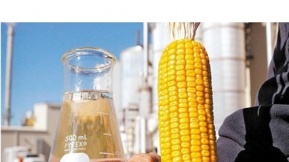 São Martinho aprova investimento de R$ 640 mi para usina de etanol de milho