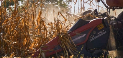 Milho sobe 1,4% e tem maior nível em 7 anos e meio em Chicago; soja cai