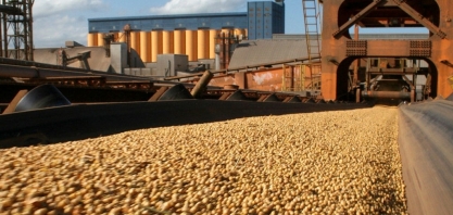 Atraso na vacinação impacta nas negociações externas do agro