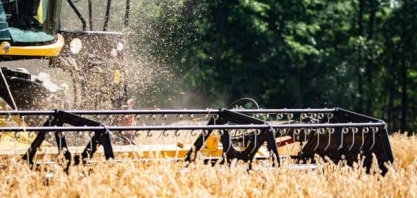  USDA reduz estimativa para oferta de milho e soja dos EUA:preços disparam