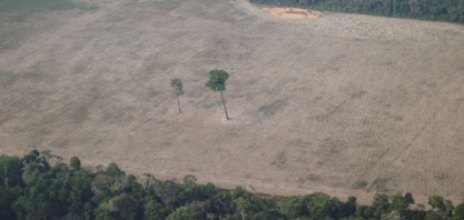 Bolsonaro sanciona nova política de pagamento por serviços ambientais