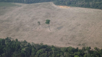 Bolsonaro sanciona nova política de pagamento por serviços ambientais