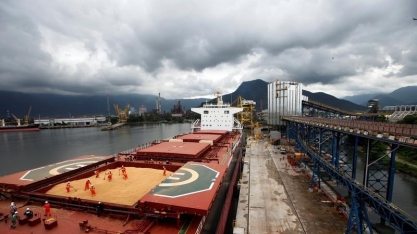 Especialistas dizem como o novo governo Biden pode impactar o agronegócio