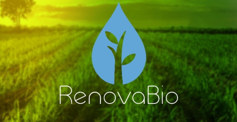 Biocombustíveis e RenovaBio: o que esperar em 2021