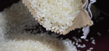 Arroz: Incerteza sobre a demanda em 2021 limita investimentos