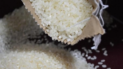 Arroz: Incerteza sobre a demanda em 2021 limita investimentos