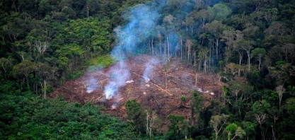 Brasil encerra 2020 com maior número de focos de queimadas em uma década