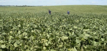 Brasil deve colher 132,4 mi t de soja em 2021, diz Agroconsult