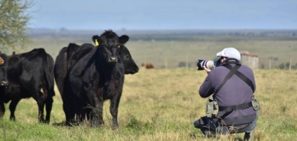 Um ano de bolso cheio no campo, é para não ser esquecido