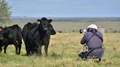 Um ano de bolso cheio no campo, é para não ser esquecido