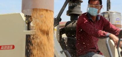 Exportação do agro supera US$ 100 bilhões em 2020; 2ª vez na história