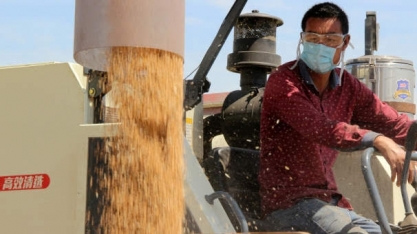 Exportação do agro supera US$ 100 bilhões em 2020; 2ª vez na história