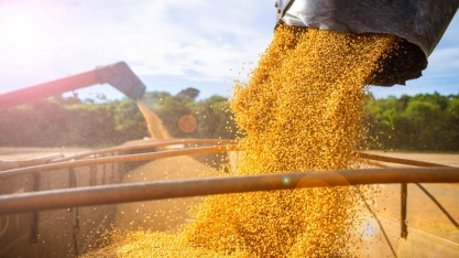 Soja brasileira é sustentável, produtiva e acima de tudo competitiva