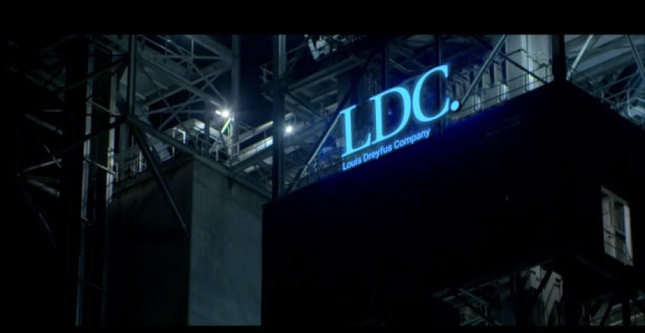 Exportações de café avançam 6,5% no início da temporada 2020/21, diz OIC