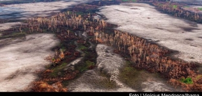 9 ex-ministros do Meio Ambiente pedem a líderes europeus ajuda à Amazônia