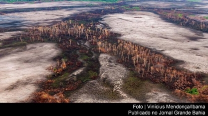 9 ex-ministros do Meio Ambiente pedem a líderes europeus ajuda à Amazônia
