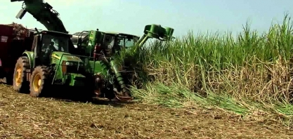 É tempo de investir em resiliência no setor sucroalcooleiro