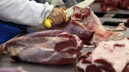 Mitsubishi e Aleph planejam vender carne cultivada no Japão