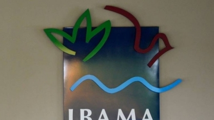 Servidores entregam seus cargos no Ibama após exoneração de líder técnico 