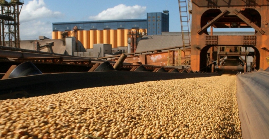 Brasil aprofunda queda no ritmo de exportação de soja em janeiro 
