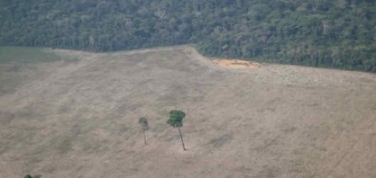 Desmatamento aumenta, mas multas ambientais no país caem 20%