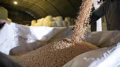 China comprou um terço das exportações do agro nacional