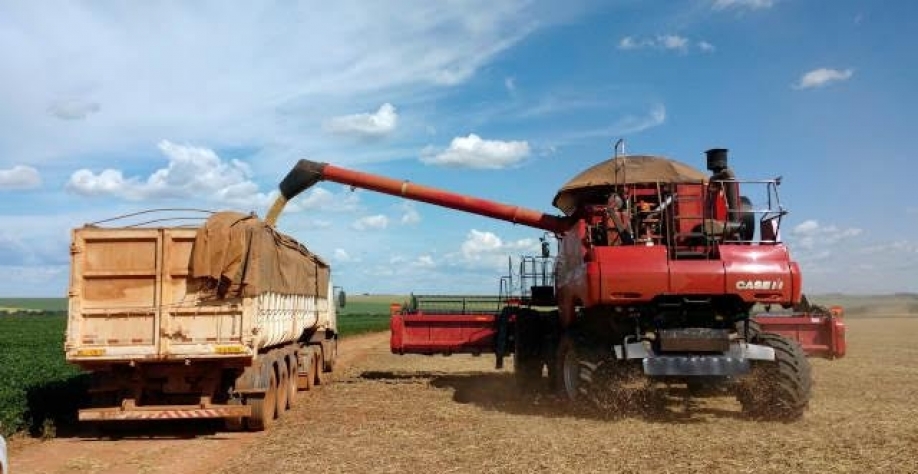 Soja tem maior queda semanal em 6 anos e meio em Chicago