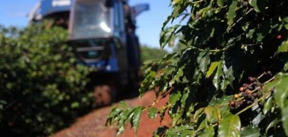 Conab vê queda de até 30,5% na safra de café do Brasil em 2021