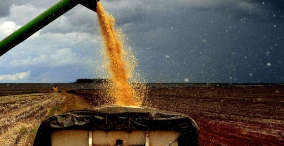  Agro exporta US$ 1 tri na década e representa 49% das vendas externas