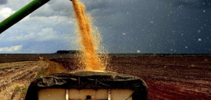  Agro exporta US$ 1 tri na década e representa 49% das vendas externas