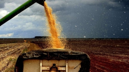  Agro exporta US$ 1 tri na década e representa 49% das vendas externas